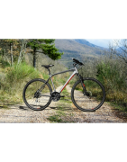 Kross EVADO 4.0
